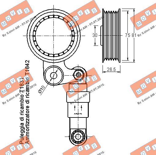 MOVIS AST1852 - Tendicinghia, Cinghia Poly-V www.autoricambi360.it