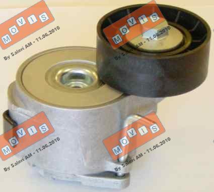 MOVIS AST2465 - Tendicinghia, Cinghia Poly-V www.autoricambi360.it