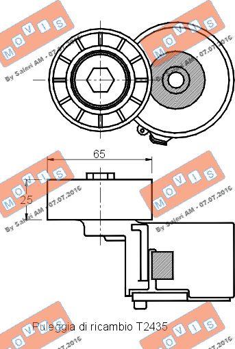 MOVIS AST2434 - Tendicinghia, Cinghia Poly-V www.autoricambi360.it