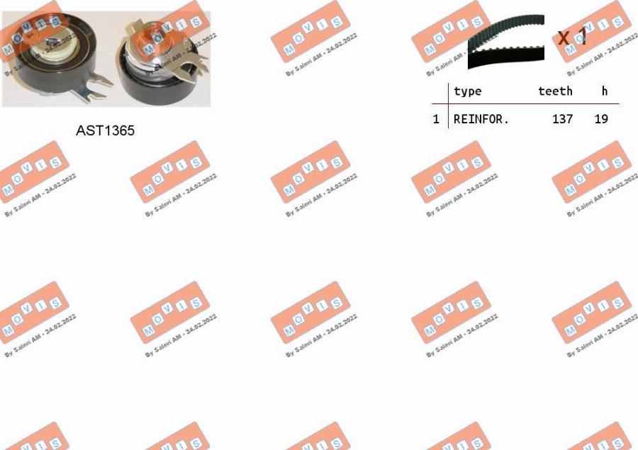 MOVIS ASTK0854 - Kit cinghie dentate www.autoricambi360.it