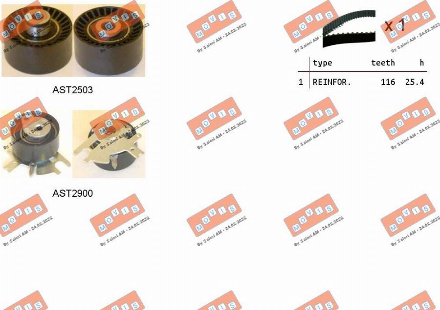 MOVIS ASTK1087 - Kit cinghie dentate www.autoricambi360.it