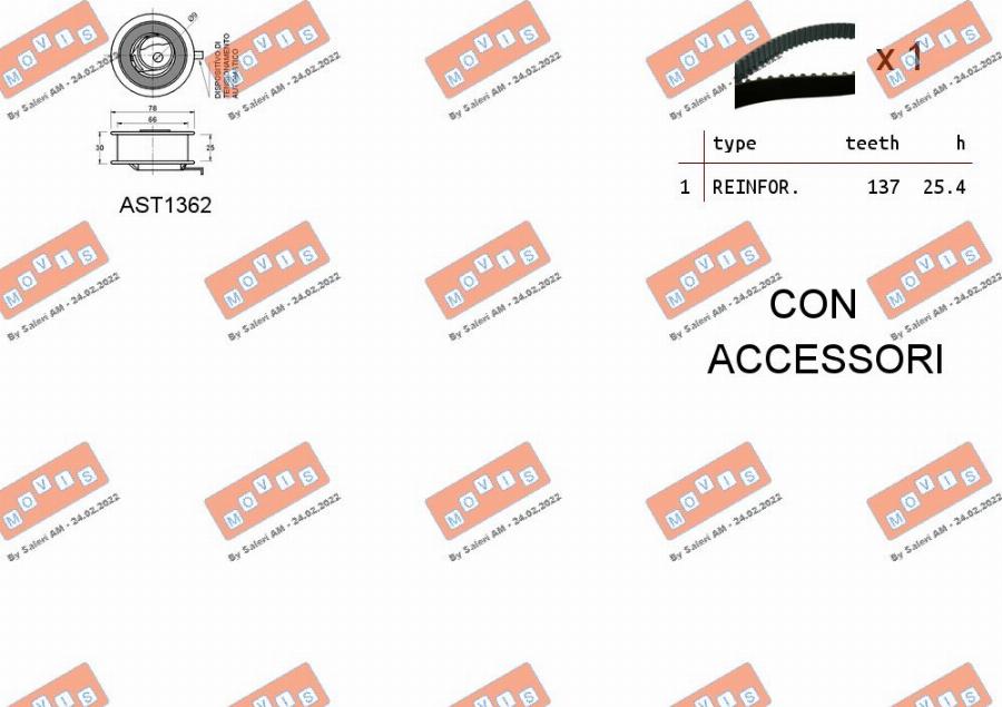 MOVIS ASTK1023 - Kit cinghie dentate www.autoricambi360.it