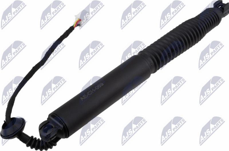 NTY AE-CH-069 - Motore elettrico, Cofano posteriore www.autoricambi360.it