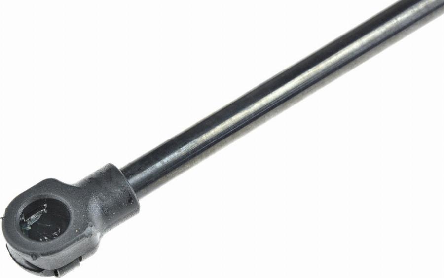 NTY AE-FT-005 - Ammortizatore pneumatico, Cofano bagagli / vano carico www.autoricambi360.it