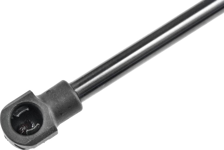 NTY AE-VV-018 - Ammortizzatore pneumatico, Cofano motore www.autoricambi360.it
