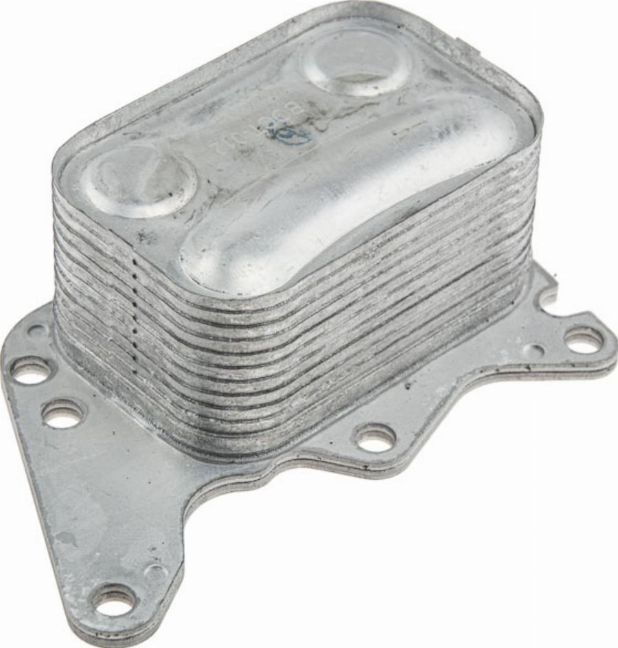 NTY CCL-CT-012 - Radiatore olio, Olio motore www.autoricambi360.it