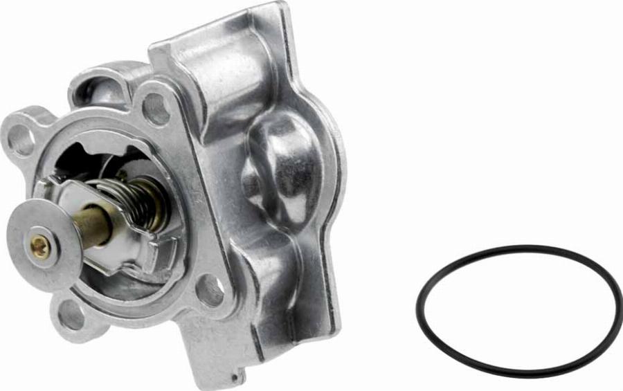 NTY CTM-FT-005 - Termostato, Refrigerante www.autoricambi360.it