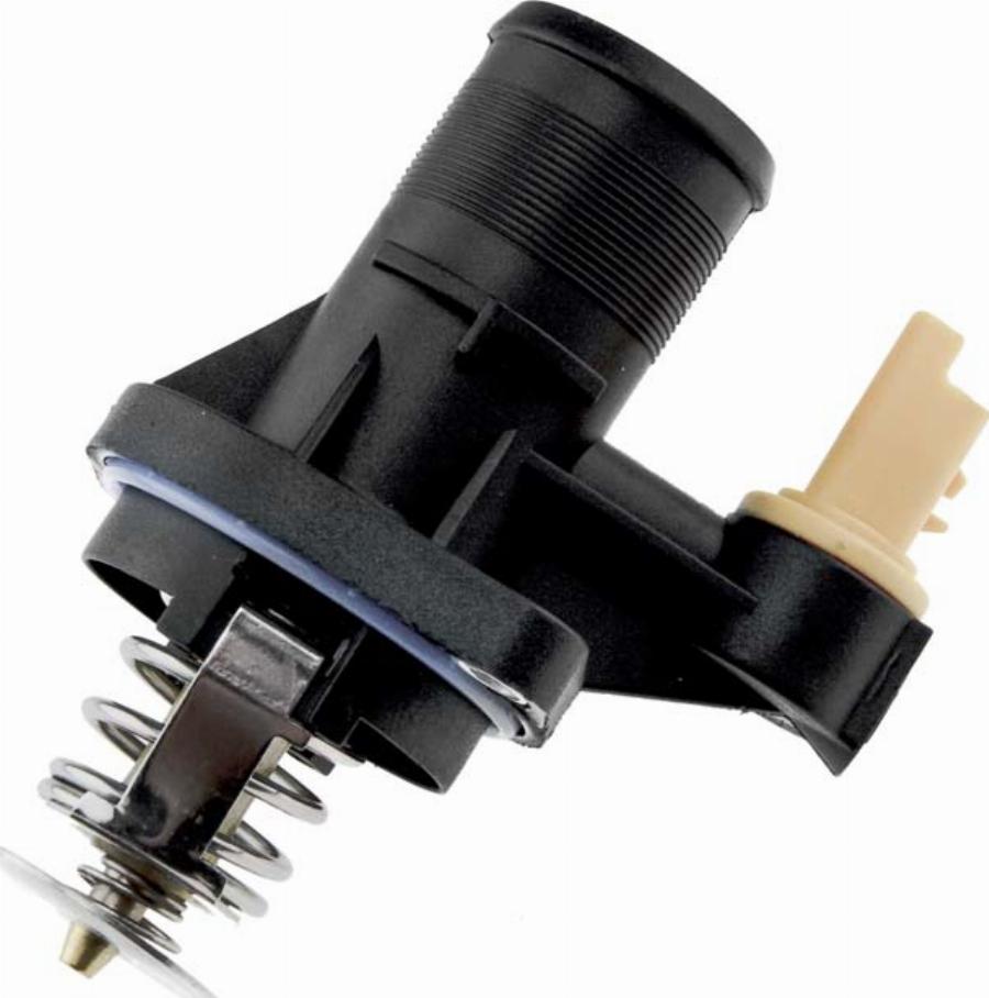 NTY CTM-PE-005 - Termostato, Refrigerante www.autoricambi360.it
