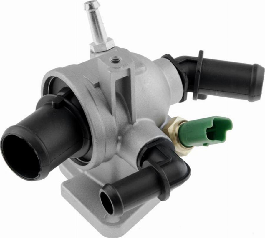 NTY CTM-PL-008 - Termostato, Refrigerante www.autoricambi360.it