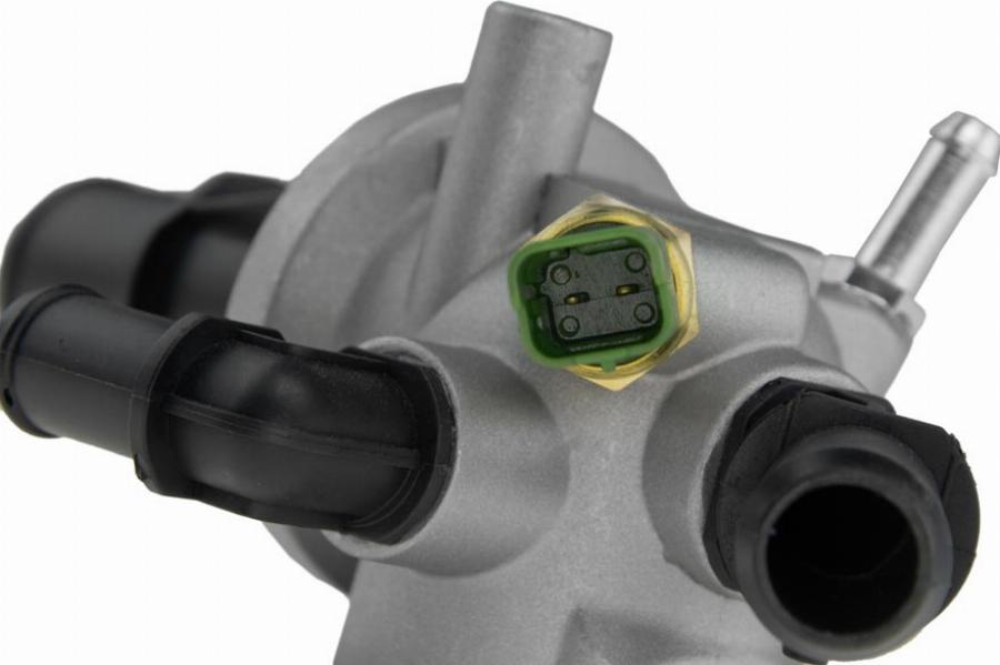 NTY CTM-PL-003 - Termostato, Refrigerante www.autoricambi360.it