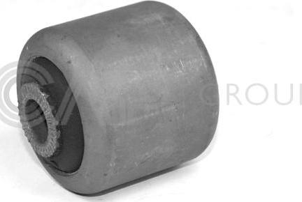 OCAP 1215018 - Supporto, Braccio oscillante www.autoricambi360.it