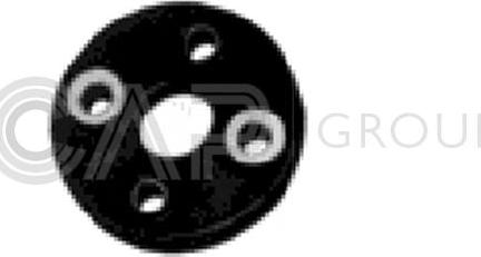 OCAP 1230106 - Flangia, Piantone sterzo www.autoricambi360.it