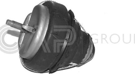 OCAP 1225562 - Sospensione, Motore www.autoricambi360.it