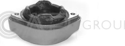 OCAP 1225520 - Sospensione, Motore www.autoricambi360.it