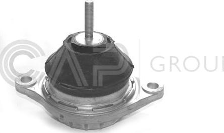 OCAP 1225019 - Sospensione, Motore www.autoricambi360.it
