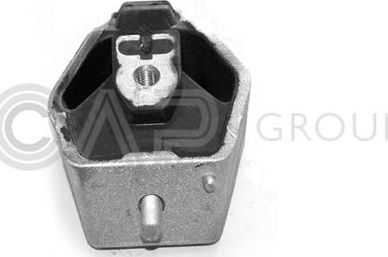 OCAP 1225031 - Sospensione, Motore www.autoricambi360.it