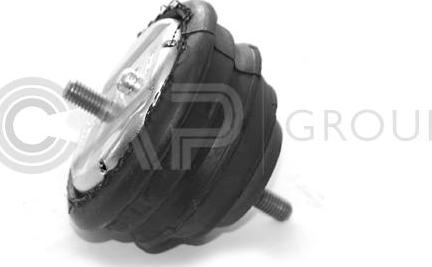 OCAP 1225117 - Sospensione, Motore www.autoricambi360.it
