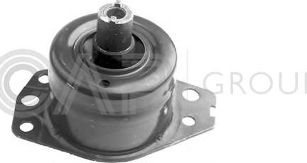 OCAP 1225170 - Sospensione, Motore www.autoricambi360.it