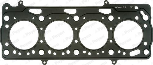 Payen AA5410 - Guarnizione, Testata www.autoricambi360.it