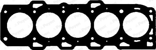 Payen AA5590 - Guarnizione, Testata www.autoricambi360.it