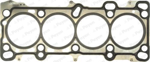 Payen AA5030 - Guarnizione, Testata www.autoricambi360.it