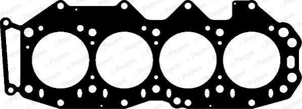Payen AA5130 - Guarnizione, Testata www.autoricambi360.it