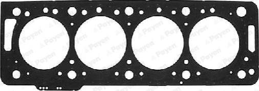 Payen AA5850 - Guarnizione, Testata www.autoricambi360.it