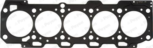 Payen AA5800 - Guarnizione, Testata www.autoricambi360.it