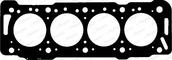 Payen AA5870 - Guarnizione, Testata www.autoricambi360.it