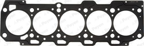 Payen AA5790 - Guarnizione, Testata www.autoricambi360.it