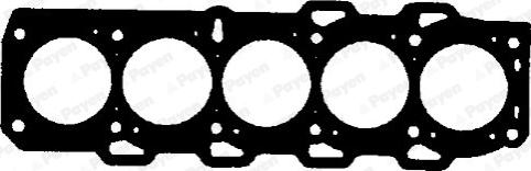 Payen AA5740 - Guarnizione, Testata www.autoricambi360.it