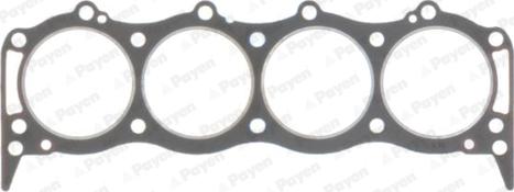 Payen AB5490 - Guarnizione, Testata www.autoricambi360.it