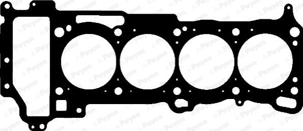 Payen AB5690 - Guarnizione, Testata www.autoricambi360.it