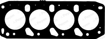 Payen AB5811 - Guarnizione, Testata www.autoricambi360.it