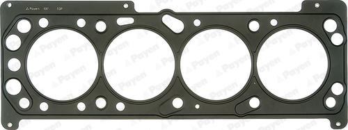 Payen AB5360 - Guarnizione, Testata www.autoricambi360.it