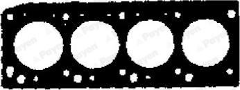 Payen AB5300 - Guarnizione, Testata www.autoricambi360.it