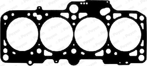 Payen AB5370 - Guarnizione, Testata www.autoricambi360.it