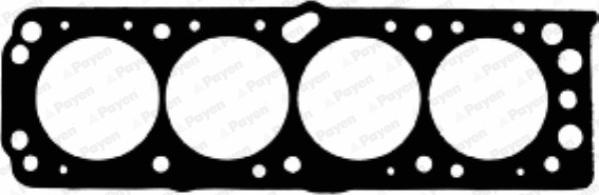 Payen AB5230 - Guarnizione, Testata www.autoricambi360.it
