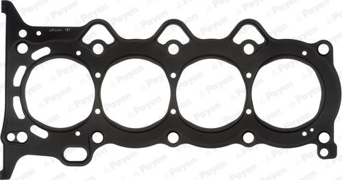Payen AB5750 - Guarnizione, Testata www.autoricambi360.it