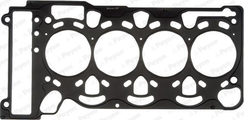 Payen AC5440 - Guarnizione, Testata www.autoricambi360.it