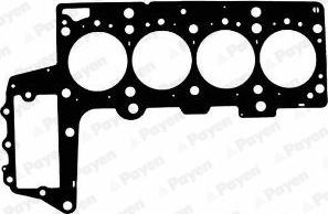 Payen AC5411 - Guarnizione, Testata www.autoricambi360.it