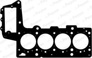Payen AC5431 - Guarnizione, Testata www.autoricambi360.it