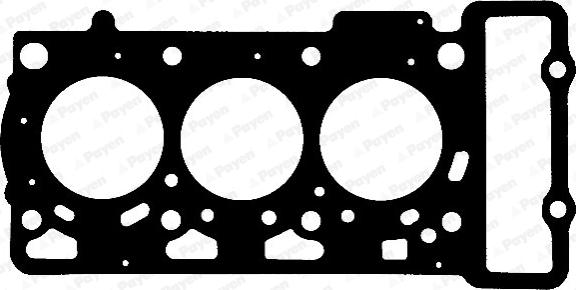 Payen AC5660 - Guarnizione, Testata www.autoricambi360.it