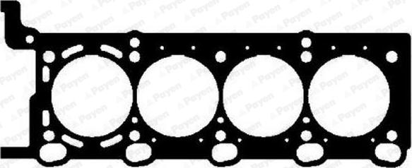 Payen AC5371 - Guarnizione, Testata www.autoricambi360.it