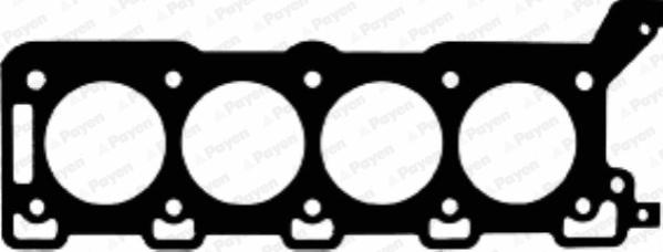 Payen AC5260 - Guarnizione, Testata www.autoricambi360.it