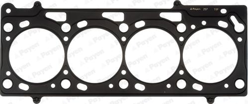 Payen AC5280 - Guarnizione, Testata www.autoricambi360.it