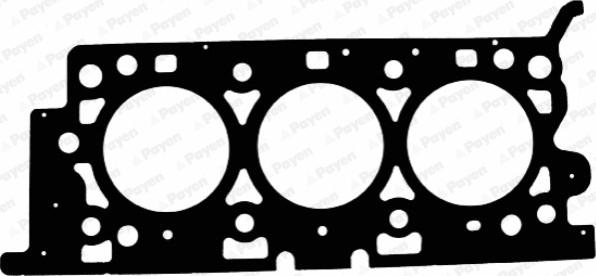Payen AC5780 - Guarnizione, Testata www.autoricambi360.it