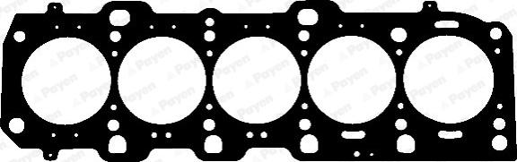 Payen AD5960 - Guarnizione, Testata www.autoricambi360.it