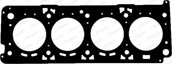 Payen AD5970 - Guarnizione, Testata www.autoricambi360.it
