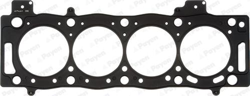Payen AD5490 - Guarnizione, Testata www.autoricambi360.it